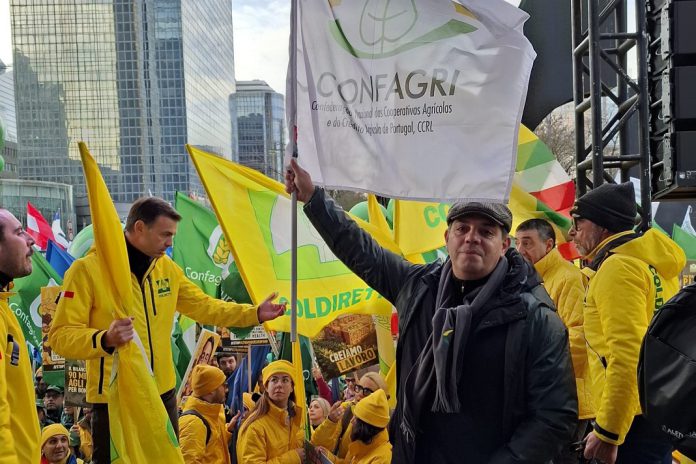 CONFAGRI: Propostas e Ação da Comissão Europeia está a destruir o futuro da Politica Agrícola Comum