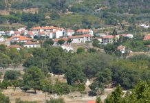 Os 12 perigos do monóxido de carbono nesta época de festas Os 12 perigos do monóxido de carbono nesta época de festas