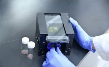 Diagnóstico precoce do cancro da bexiga pode passar a ser feito em casa