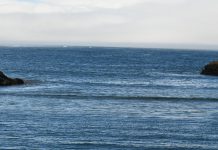 Parlamento Europeu aprova acordo de pesca de atum com Cabo Verde