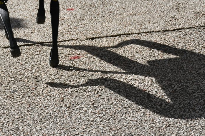 Um robô biohíbrido rastejante mostra como sinais neuronais controlam os movimentos musculares