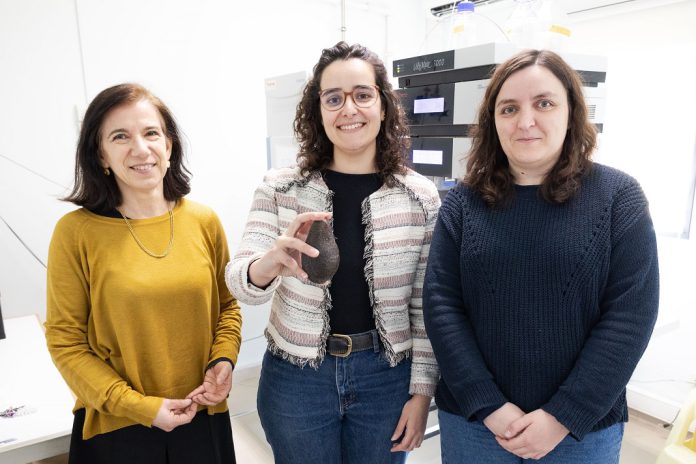 Abacate possui compostos benéficos na prevenção de doenças cardiovasculares e neurodegenerativas Abacate possui compostos benéficos na prevenção de doenças cardiovasculares e neurodegenerativas
