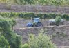 A UE atribui mais de 56 milhões de euros em apoio de emergência aos agricultores de Portugal, Roménia, Chipre, Croácia e Eslovénia