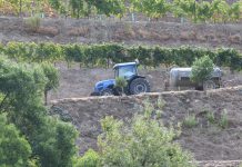 A UE atribui mais de 56 milhões de euros em apoio de emergência aos agricultores de Portugal, Roménia, Chipre, Croácia e Eslovénia A UE atribui mais de 56 milhões de euros em apoio de emergência aos agricultores de Portugal, Roménia, Chipre, Croácia e Eslovénia
