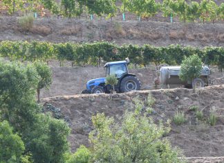 A UE atribui mais de 56 milhões de euros em apoio de emergência aos agricultores de Portugal, Roménia, Chipre, Croácia e Eslovénia A UE atribui mais de 56 milhões de euros em apoio de emergência aos agricultores de Portugal, Roménia, Chipre, Croácia e Eslovénia