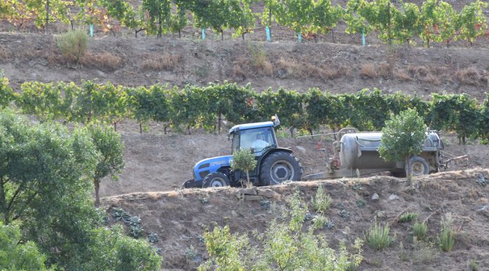 A UE atribui mais de 56 milhões de euros em apoio de emergência aos agricultores de Portugal, Roménia, Chipre, Croácia e Eslovénia