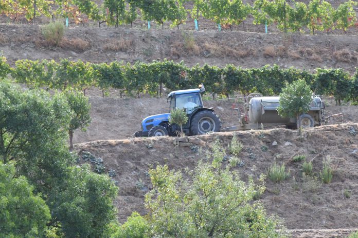 A UE atribui mais de 56 milhões de euros em apoio de emergência aos agricultores de Portugal, Roménia, Chipre, Croácia e Eslovénia A UE atribui mais de 56 milhões de euros em apoio de emergência aos agricultores de Portugal, Roménia, Chipre, Croácia e Eslovénia