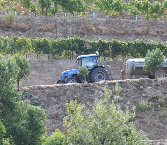 Falta de medidas adequadas do Governo sobre preço dos combustíveis pode destruir a competitividade do setor agroalimentar
