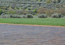 CONFAGRI exige do Governo medidas urgentes para travar subida de custos no setor agroalimentar