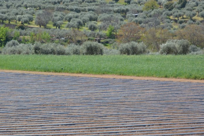 CONFAGRI exige do Governo medidas urgentes para travar subida de custos no setor agroalimentar