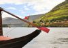 Leveduras das vinhas do Douro podem criar vinhos mais distintos e autênticos Leveduras das vinhas do Douro podem criar vinhos mais distintos e autênticos