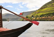 Leveduras das vinhas do Douro podem criar vinhos mais distintos e autênticos Leveduras das vinhas do Douro podem criar vinhos mais distintos e autênticos
