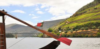 Leveduras das vinhas do Douro podem criar vinhos mais distintos e autênticos