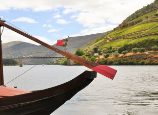 Leveduras das vinhas do Douro podem criar vinhos mais distintos e autênticos Leveduras das vinhas do Douro podem criar vinhos mais distintos e autênticos