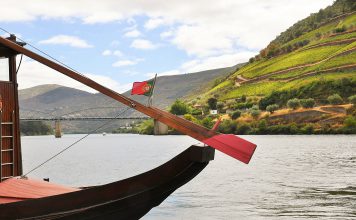 Leveduras das vinhas do Douro podem criar vinhos mais distintos e autênticos