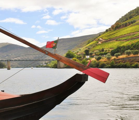 Leveduras das vinhas do Douro podem criar vinhos mais distintos e autênticos Leveduras das vinhas do Douro podem criar vinhos mais distintos e autênticos