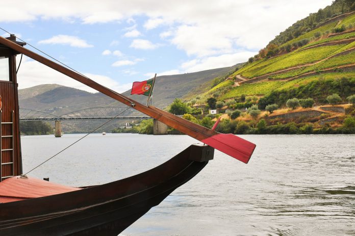 Leveduras das vinhas do Douro podem criar vinhos mais distintos e autênticos Leveduras das vinhas do Douro podem criar vinhos mais distintos e autênticos