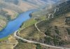 Instituto dos Vinhos do Douro e do Porto no debate em Bruxelas sobre agrupamentos de produtores de Indicações Geográficas Instituto dos Vinhos do Douro e do Porto no debate em Bruxelas sobre agrupamentos de produtores de Indicações Geográficas