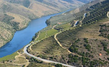 Instituto dos Vinhos do Douro e do Porto no debate em Bruxelas sobre agrupamentos de produtores de Indicações Geográficas