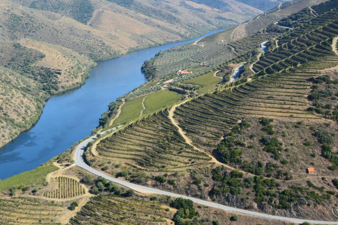 Instituto dos Vinhos do Douro e do Porto no debate em Bruxelas sobre agrupamentos de produtores de Indicações Geográficas