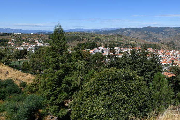 Como prevenir os riscos na segunda habitação em tempo de verão Como prevenir os riscos na segunda habitação em tempo de verão