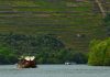 Plano para valorizar o Setor Vitivinícola da Região do Douro foi entregue ao Governo pelo IVDP Plano para valorizar o Setor Vitivinícola da Região do Douro foi entregue ao Governo pelo IVDP
