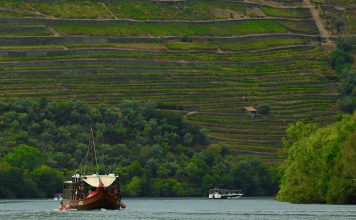 Plano para valorizar o Setor Vitivinícola da Região do Douro foi entregue ao Governo pelo IVDP Plano para valorizar o Setor Vitivinícola da Região do Douro foi entregue ao Governo pelo IVDP