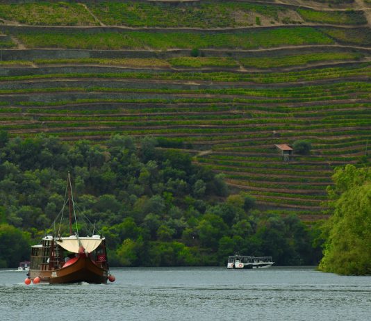 Plano para valorizar o Setor Vitivinícola da Região do Douro foi entregue ao Governo pelo IVDP Plano para valorizar o Setor Vitivinícola da Região do Douro foi entregue ao Governo pelo IVDP