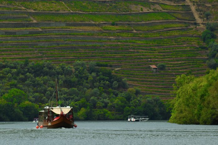 Plano para valorizar o Setor Vitivinícola da Região do Douro foi entregue ao Governo pelo IVDP Plano para valorizar o Setor Vitivinícola da Região do Douro foi entregue ao Governo pelo IVDP
