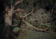 Governo avalia prejuízos das tempestades em mais de 5,3 mil milhões de euros e pede apoio do Fundo de Solidariedade da UE Governo avalia prejuízos das tempestades em mais de 5,3 mil milhões de euros e pede apoio do Fundo de Solidariedade da UE