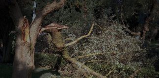 Governo avalia prejuízos das tempestades em mais de 5,3 mil milhões de euros e pede apoio do Fundo de Solidariedade da UE