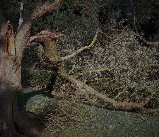 Governo avalia prejuízos das tempestades em mais de 5,3 mil milhões de euros e pede apoio do Fundo de Solidariedade da UE