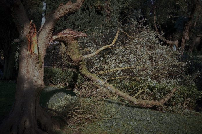 Governo avalia prejuízos das tempestades em mais de 5,3 mil milhões de euros e pede apoio do Fundo de Solidariedade da UE Governo avalia prejuízos das tempestades em mais de 5,3 mil milhões de euros e pede apoio do Fundo de Solidariedade da UE