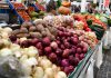 Previsões de verão da Comissão Europeia indicam mercados agrícolas estáveis