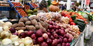 Previsões de verão da Comissão Europeia indicam mercados agrícolas estáveis Previsões de verão da Comissão Europeia indicam mercados agrícolas estáveis