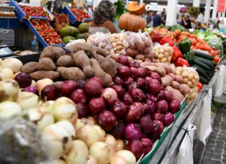 Previsões de verão da Comissão Europeia indicam mercados agrícolas estáveis Previsões de verão da Comissão Europeia indicam mercados agrícolas estáveis