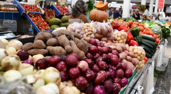 Previsões de verão da Comissão Europeia indicam mercados agrícolas estáveis Previsões de verão da Comissão Europeia indicam mercados agrícolas estáveis