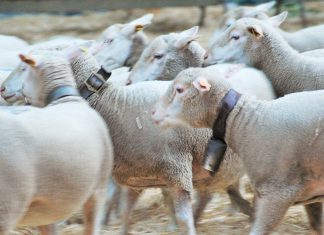 Eurodeputados aprovam novas medidas de apoio aos agricultores na cadeia de abastecimento alimentar Eurodeputados aprovam novas medidas de apoio aos agricultores na cadeia de abastecimento alimentar