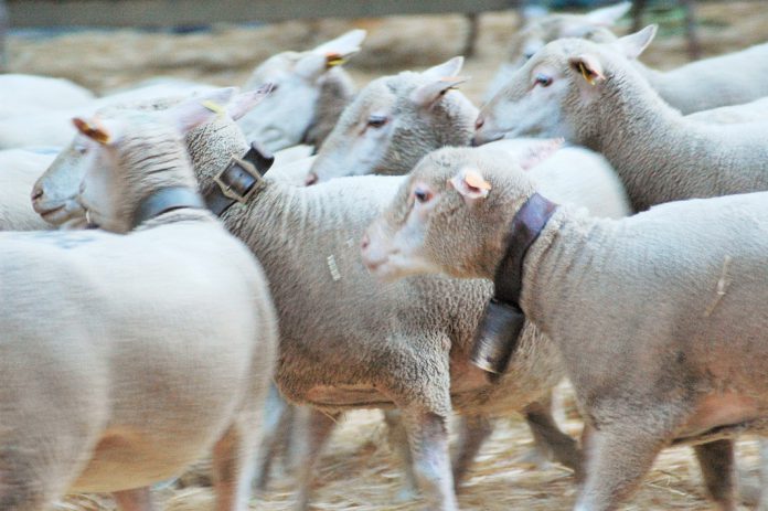Eurodeputados aprovam novas medidas de apoio aos agricultores na cadeia de abastecimento alimentar Eurodeputados aprovam novas medidas de apoio aos agricultores na cadeia de abastecimento alimentar