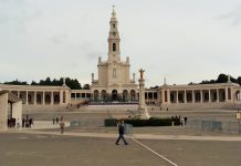 Santuário de Fátima perde mais de 500 árvores com tempestade Kristin com prejuízos superiores a 2 milhões de euros