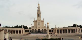 Santuário de Fátima perde mais de 500 árvores com tempestade Kristin com prejuízos superiores a 2 milhões de euros