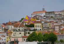 Estudo em Coimbra mostra que vírus respiratório é causa de quase metade dos doentes hospitalizados desenvolverem complicações graves Estudo em Coimbra mostra que vírus respiratório é causa de quase metade dos doentes hospitalizados desenvolverem complicações graves
