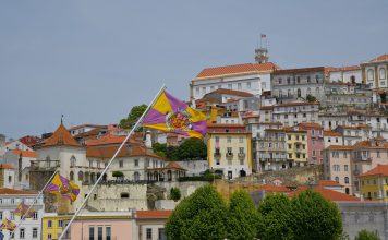Estudo em Coimbra mostra que vírus respiratório é causa de quase metade dos doentes hospitalizados desenvolverem complicações graves Estudo em Coimbra mostra que vírus respiratório é causa de quase metade dos doentes hospitalizados desenvolverem complicações graves