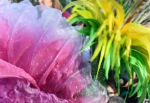 Governo concede tolerância de ponto no Dia de Carnaval