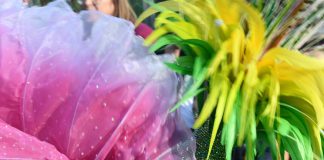 Governo concede tolerância de ponto no Dia de Carnaval