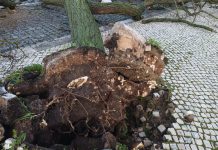 Empresas afetadas pelo mau tempo podem candidatar-se a linha de apoio de 150 milhões de euros Empresas afetadas pelo mau tempo podem candidatar-se a linha de apoio de 150 milhões de euros