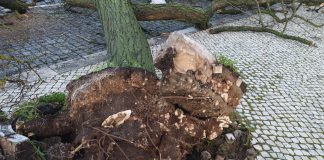 Empresas afetadas pelo mau tempo podem candidatar-se a linha de apoio de 150 milhões de euros