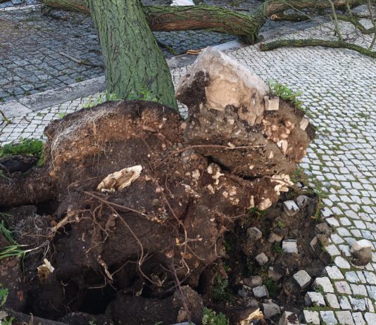 Empresas afetadas pelo mau tempo podem candidatar-se a linha de apoio de 150 milhões de euros