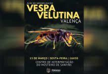 Identificar e combater a Vespa Velutina: Sessão para Apicultores em Valença