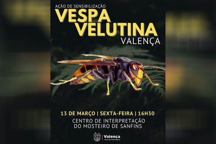 Identificar e combater a Vespa Velutina: Sessão para Apicultores em Valença